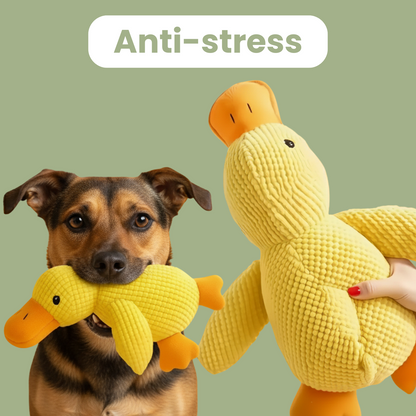 HappyDuck™ - Canard anti-stress
