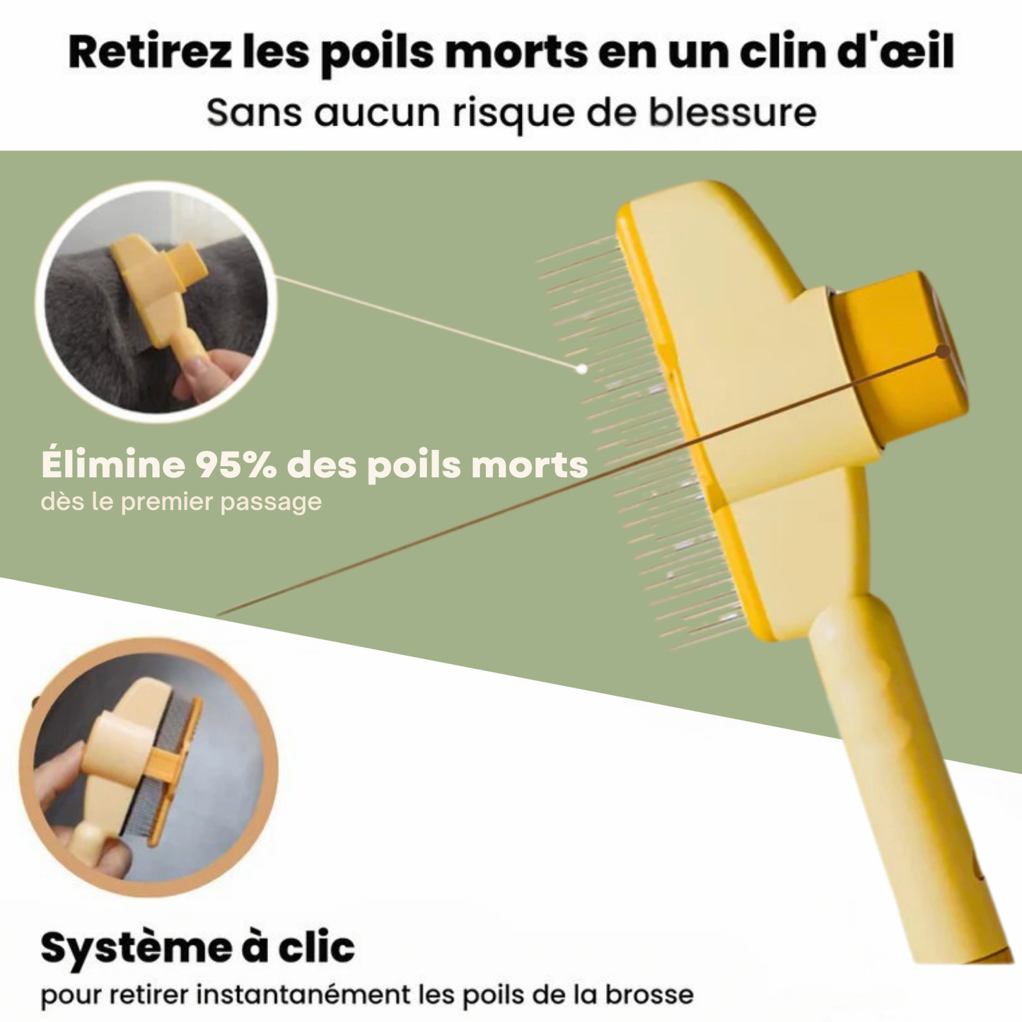 Brosse anti-poil pour chat