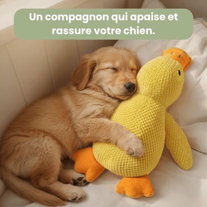 HappyDuck™ - Canard anti-stress
