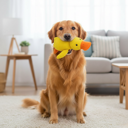 HappyDuck™ - Canard anti-stress