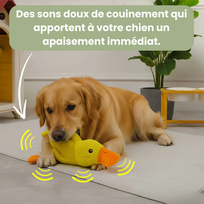 HappyDuck™ - Canard anti-stress