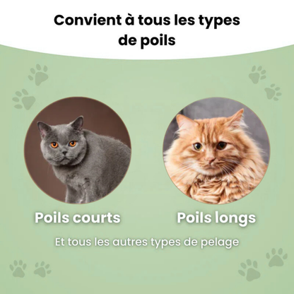 Brosse anti-poil pour chat