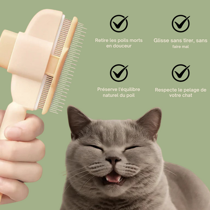 Brosse anti-poil pour chat