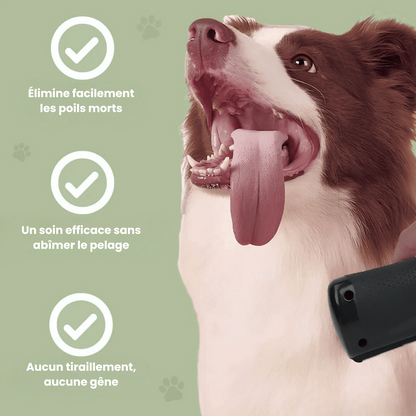 La Brosse Magique pour chien