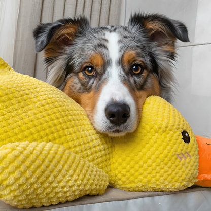 HappyDuck™ - Canard anti-stress