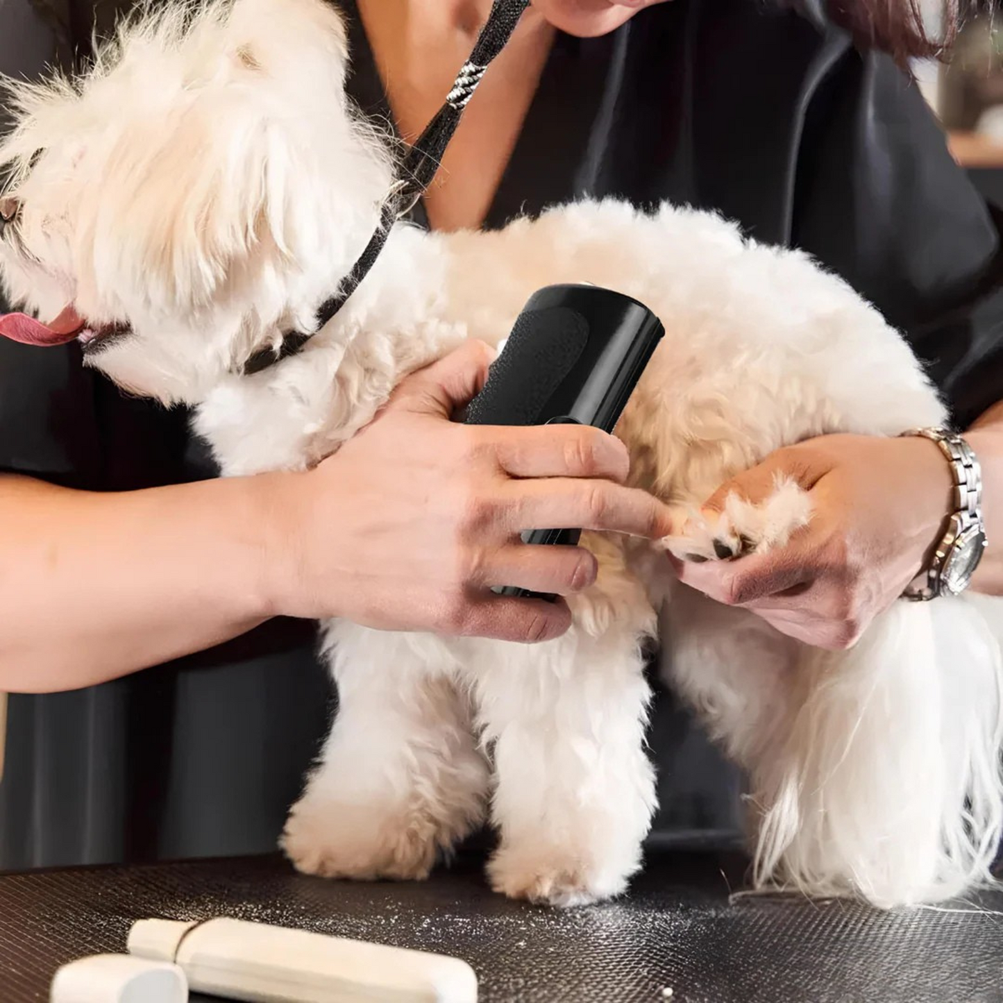 La Brosse Magique pour chien