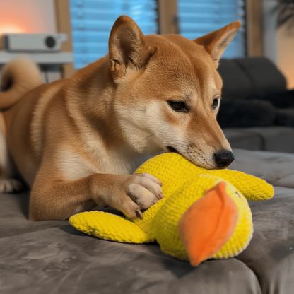 HappyDuck™ - Canard anti-stress