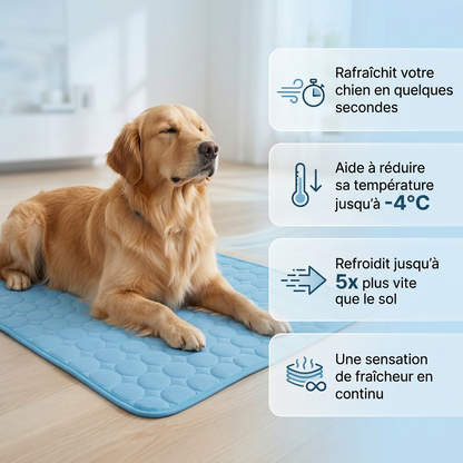 Le Tapis StopChaleur™ -Rafraichissant pour chiens et chats