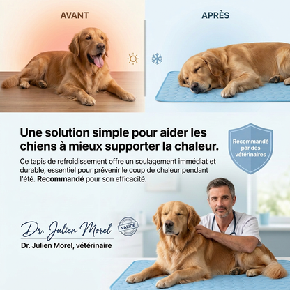 Le Tapis StopChaleur™ -Rafraichissant pour chiens et chats