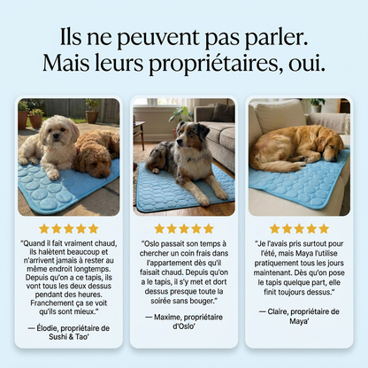 Le Tapis StopChaleur™ -Rafraichissant pour chiens et chats