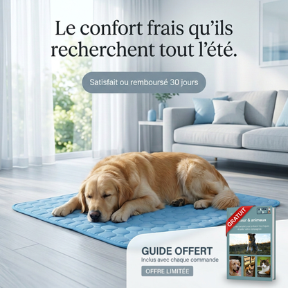 Le Tapis StopChaleur™ -Rafraichissant pour chiens et chats