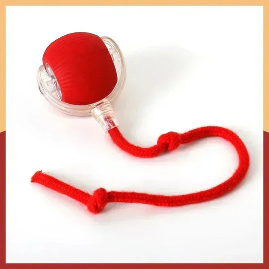 BalleMagique™ – La balle interactive qui occupe votre chien pendant des heures sans effort